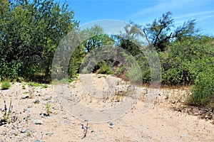 Landscape view of, Maricopa County, Rio Verde, Arizona