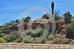 Landscape view of, Maricopa County, Rio Verde, Arizona