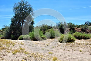 Landscape view of, Maricopa County, Rio Verde, Arizona