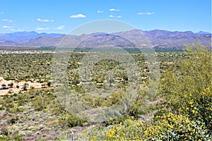 Landscape view of, Maricopa County, Rio Verde, Arizona