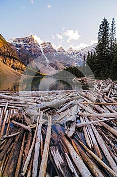 Landscape view of Moraine lake with dead trees in Canadian Rocky mountains