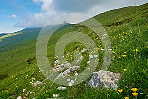 Landscape view from Mount Baldo in Veneto, Italy, lake Garda