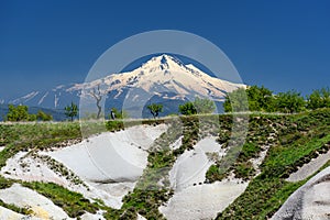 Snowy peak of mount Erciyes, as seen from Goreme to the west in Cappadocia Turkey, landscape view