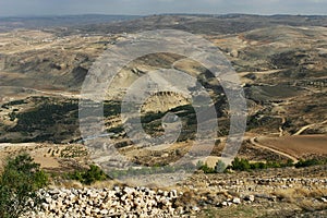 Landscape View at Mount Nebo, Jordan