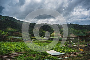 Landscape view on the mountain at Mae Rim