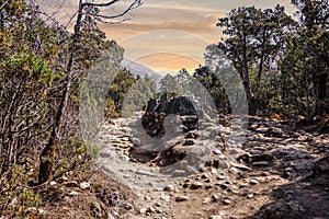 Landscape view of mountain path splitting around stone with buddhist mantra.