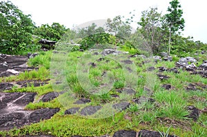 Landscape view on mountain phu hin rong kla phitsanulok