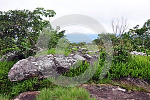 Landscape view on mountain phu hin rong kla phitsanulok