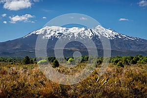 Landscape view of Mt Ruapehu in Tongariro national park, New Zealand