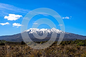 Landscape view of Mt Ruapehu in Tongariro national park, NZ