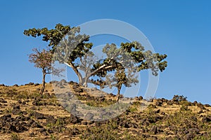 Landscape view near the Blue Nile falls, Tis-Isat in Ethiopia, Africa