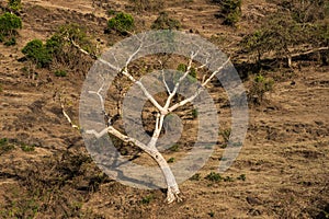 Landscape view near the Blue Nile falls, Tis-Isat in Ethiopia, Africa