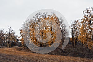 Landscape view of the Nes and Helga, ya Island in Lake Mja, a cloudy day in autumn. photo