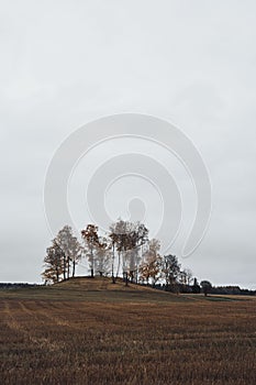Landscape view of the Nes and Helga, ya Island in Lake Mja, a cloudy day in autumn. photo