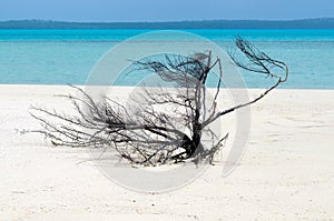 Landscape view of Nude Island in Aitutaki Lagoon Cook Islands