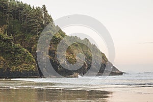 Landscape view on the Oregon coast