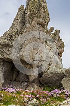 Landscape view at Ouessant Island Brittany France