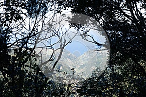 Landscape view over a city and Atlantic ocean in background framed by foliage