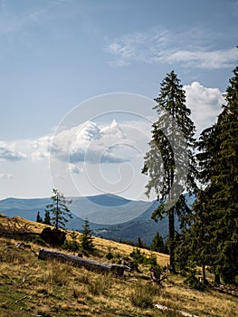 Landscape view at Padis Bihor mountains Apuseni mountains of Transylvania