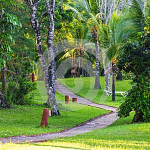 Landscape view of pathway