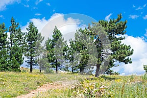 Landscape view of plateau Ai-Petri mountain