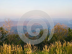 Landscape view point, mountain and grass flower foreground