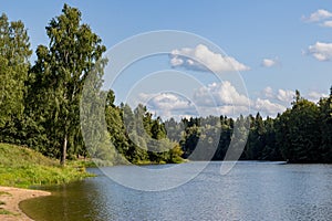 Landscape view with a pond in a forest area