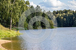 Landscape view with a pond in a forest area