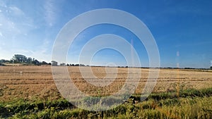 Landscape view of a reaped field under blue sky