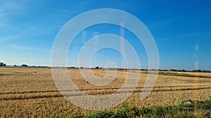 Landscape view of a reaped field under blue sky on a sunny day