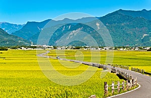 Field scenery in Taitung, Taiwan photo