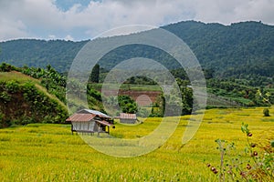 Landscape view of rice terraces field in the valley