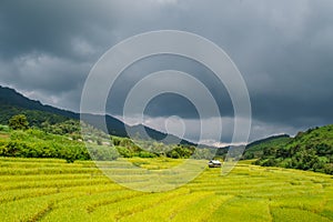 Landscape view of rice terraces field in the valley