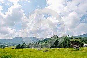 Landscape view of rice terraces field in the valley