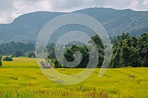 Landscape view of rice terraces field in the valley