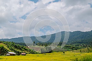 Landscape view of rice terraces field in the valley