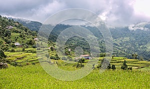 Landscape view of rice terraces in Kathmandu Valley, Nepal