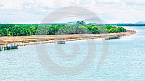 landscape view of river and green trees forest with mountain cloud sky background