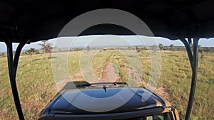 Landscape view from a safari truck of the kenyan savannah, A