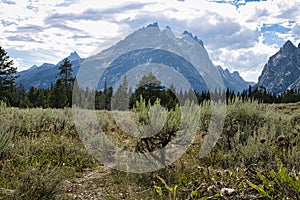 Landscape view of sagebrush meadow overlooked by the Cathedral Group and Cascade Canyon photo