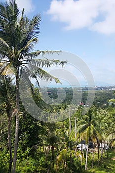 Landscape view of Samui island