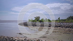 Landscape view of shallow water shore beach. Tropical forest and rock stone blue sky with cloud near tidal mudflats. Coast low tid