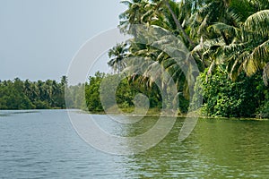 Landscape view of sharavati river in Honnavar