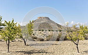 Landscape with a view of sierra Espuna photo