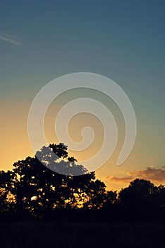 Landscape view sky clouds trees silhouette sunset