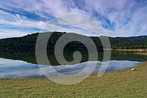 Landscape view spring mountains trees nature lake