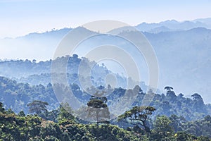 Landscape view of sunrise in early morning on high angle view with misty covered over layers mountain hills