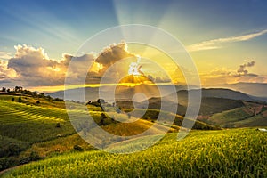 Landscape view sunset time with sun ray at green terraced plantation paddy rice field in Pa bong Pieng ,