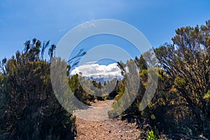 Landscape view of the surroundings of Kilimanjaro mountain in Tanzania