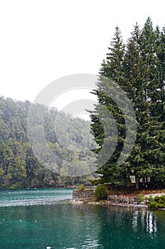 A landscape view of tall pine trees next to the Nahuel Huapi Lake on a snowy spring day in Villa La Angostura, Neuquen, Argentina